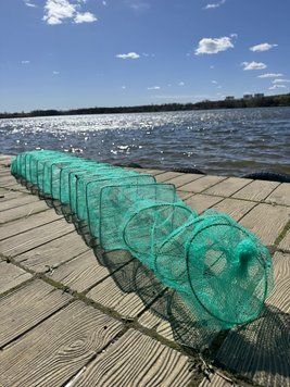 Раколовка гармошка 20х25, 8 входов, 2.5 метра 20x25x8 фото